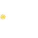 TrustBridge Global